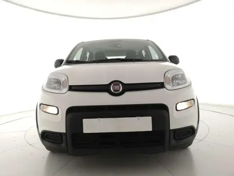 Used FIAT PANDA Hybrid 2022 Ad 