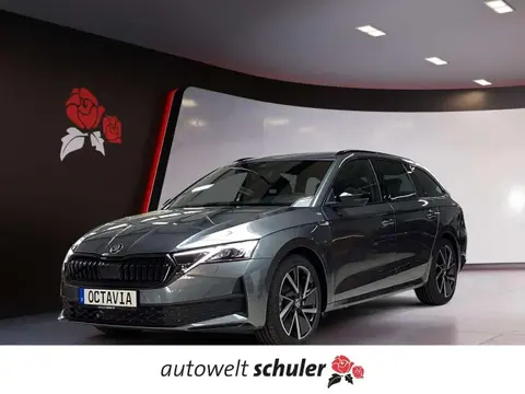 Annonce SKODA OCTAVIA Essence 2024 d'occasion 