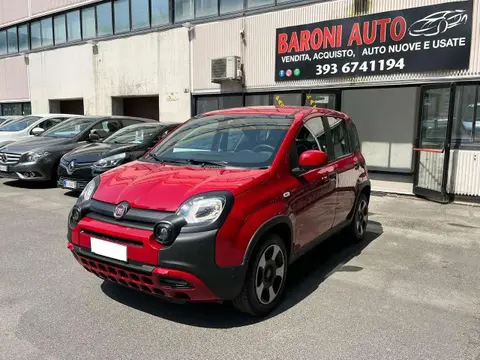 Annonce FIAT PANDA Hybride 2023 d'occasion 