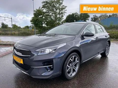 Used KIA XCEED Petrol 2019 Ad 