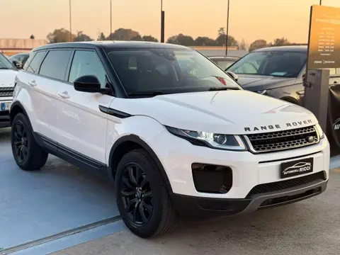 Annonce LAND ROVER RANGE ROVER EVOQUE Diesel 2019 d'occasion 