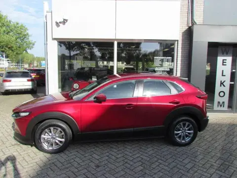 Used MAZDA CX-30 Hybrid 2019 Ad 