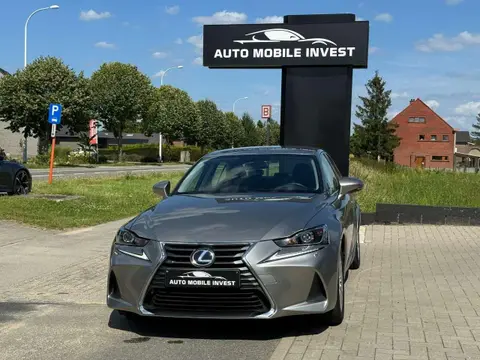 Used LEXUS IS Hybrid 2018 Ad Belgium