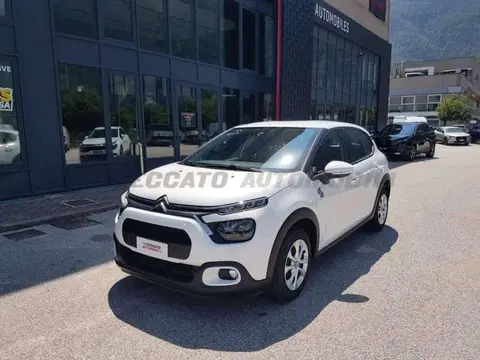 Used CITROEN C3 Petrol 2024 Ad 