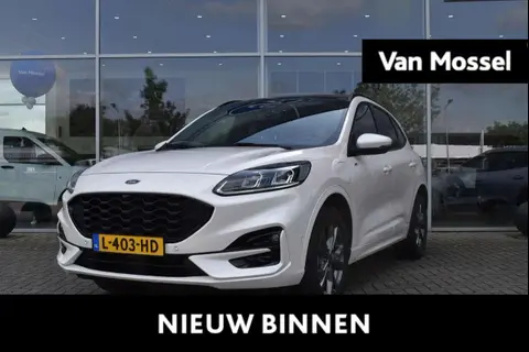 Annonce FORD KUGA Hybride 2021 d'occasion 