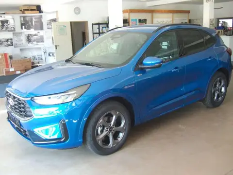 Annonce FORD KUGA Essence 2024 d'occasion 