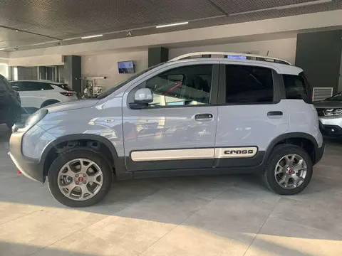 Annonce FIAT PANDA Essence 2023 d'occasion 