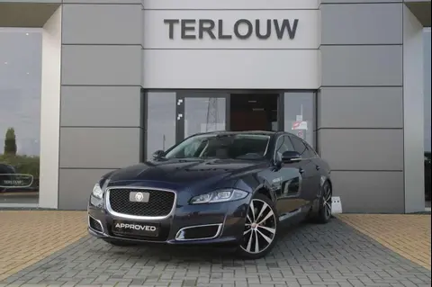 Used JAGUAR XJ Diesel 2020 Ad 