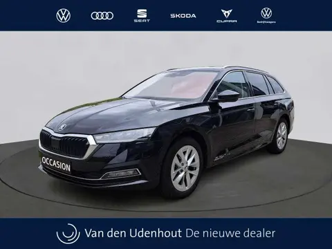 Used SKODA OCTAVIA Petrol 2023 Ad 