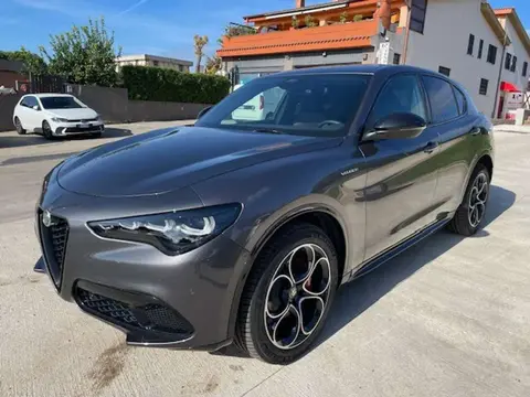 Annonce ALFA ROMEO STELVIO Diesel 2024 d'occasion 