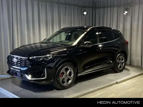 Annonce FORD KUGA Hybride 2024 d'occasion 