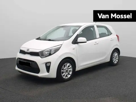 Annonce KIA PICANTO Essence 2019 d'occasion 