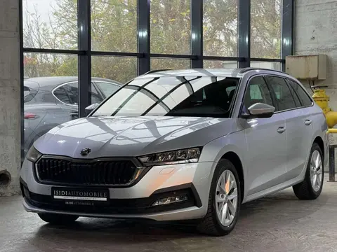 Annonce SKODA OCTAVIA Diesel 2023 d'occasion 