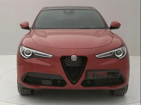 Annonce ALFA ROMEO STELVIO Essence 2022 d'occasion 