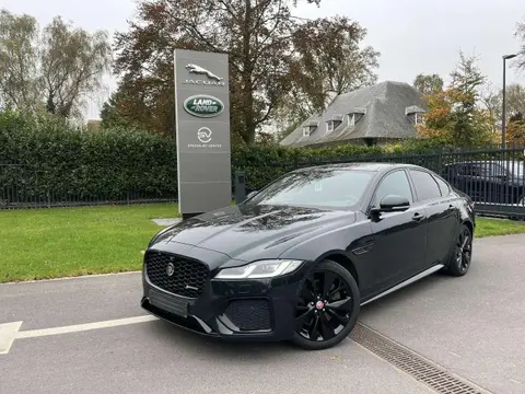 Used JAGUAR XF Petrol 2021 Ad 