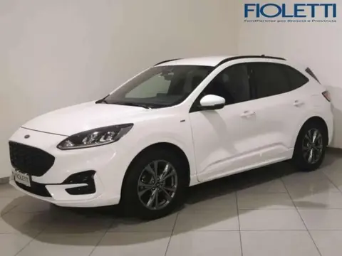 Used FORD KUGA Diesel 2021 Ad 