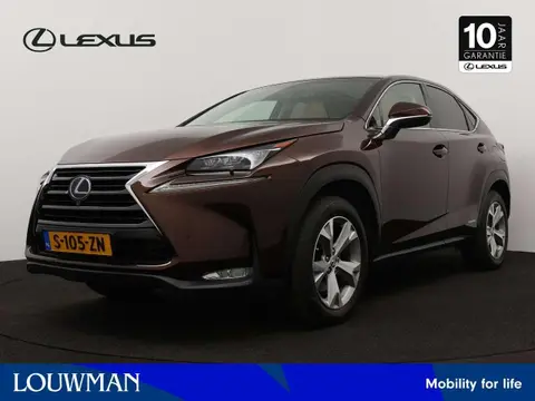 Used LEXUS NX Hybrid 2017 Ad 