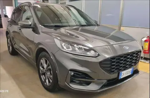 Annonce FORD KUGA Hybride 2021 d'occasion 