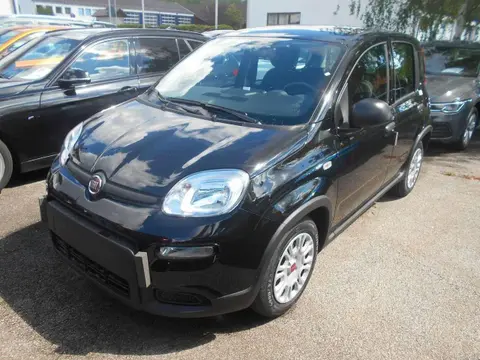 Annonce FIAT PANDA Essence 2024 d'occasion 