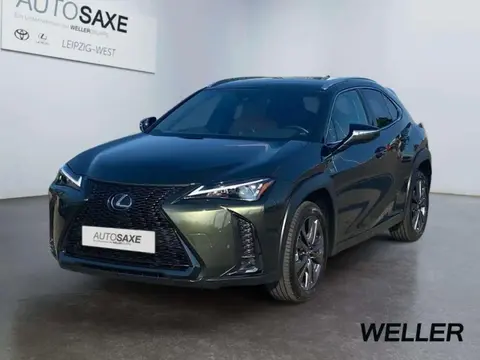 Used LEXUS UX Hybrid 2023 Ad Germany