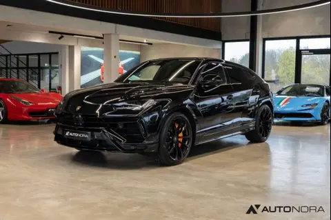 Annonce LAMBORGHINI URUS Essence 2023 d'occasion 