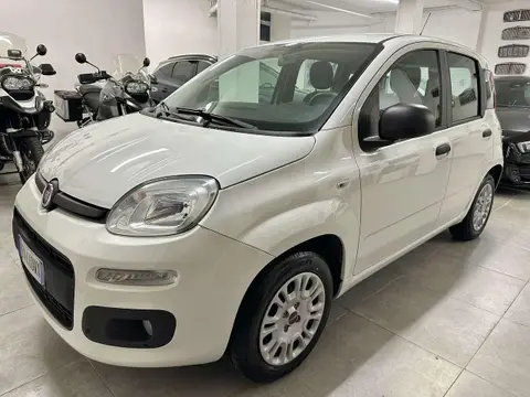 Annonce FIAT PANDA Essence 2018 d'occasion 