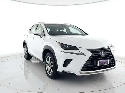 Used LEXUS NX Hybrid 2019 Ad 