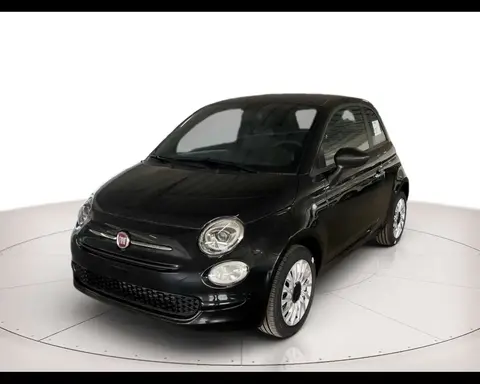 Used FIAT 500 Petrol 2023 Ad 