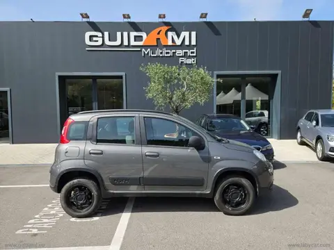 Used FIAT PANDA Petrol 2021 Ad 