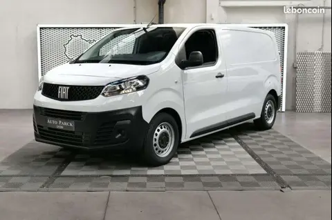 Annonce FIAT SCUDO Diesel 2023 d'occasion 