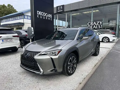 Used LEXUS UX Hybrid 2019 Ad Belgium