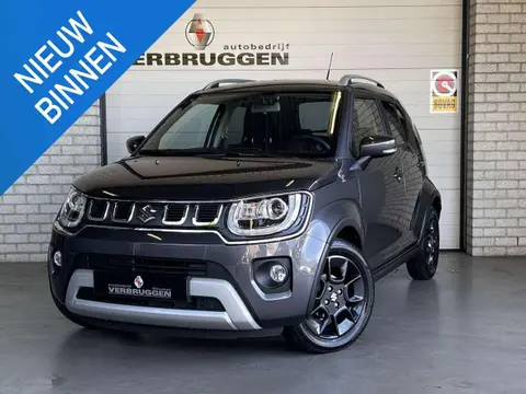 Annonce SUZUKI IGNIS Essence 2024 d'occasion 