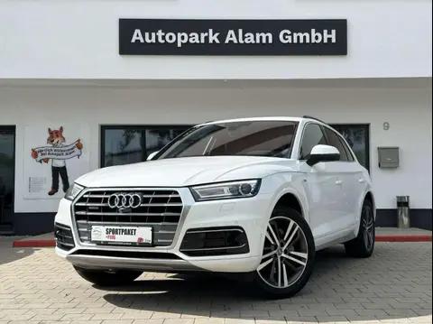 Used AUDI Q5 Diesel 2019 Ad 