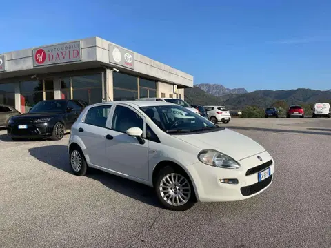 Used FIAT PUNTO Petrol 2017 Ad 