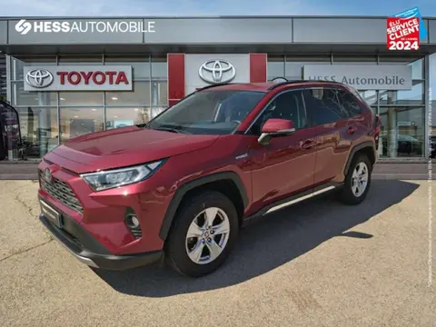 Annonce TOYOTA RAV4  2020 d'occasion 