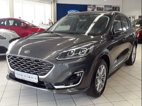 Used FORD KUGA Hybrid 2024 Ad 