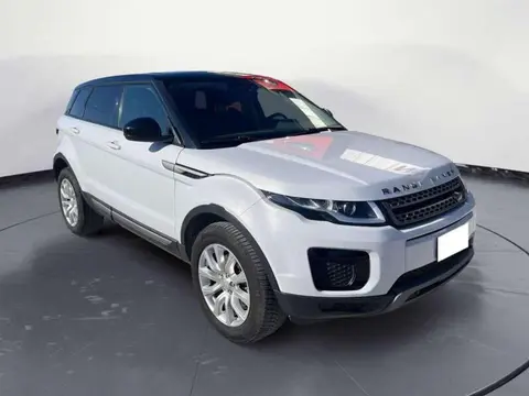 Used LAND ROVER RANGE ROVER EVOQUE Diesel 2019 Ad 