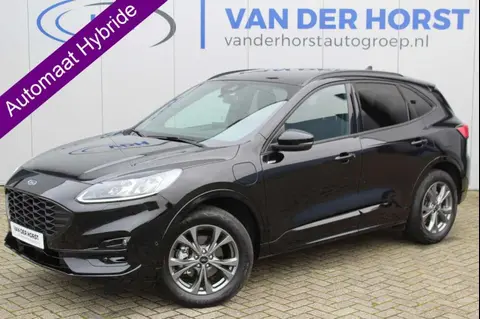 Annonce FORD KUGA Hybride 2023 d'occasion 