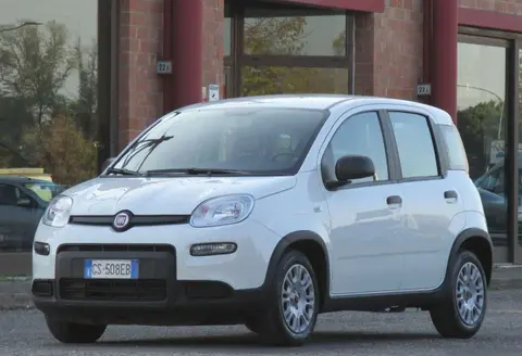 Annonce FIAT PANDA Hybride 2023 d'occasion 