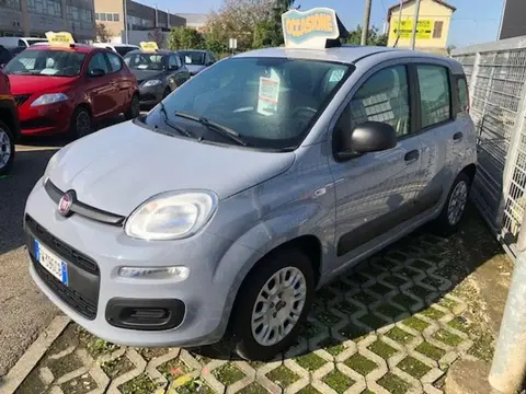 Used FIAT PANDA LPG 2019 Ad 