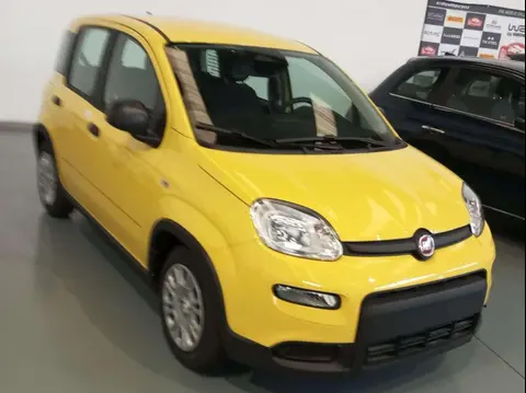 Annonce FIAT PANDA Hybride 2024 d'occasion 