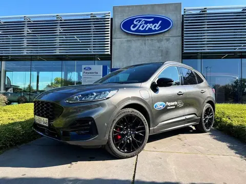 Annonce FORD KUGA Hybride 2023 d'occasion 