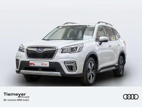 Used SUBARU FORESTER Petrol 2022 Ad 