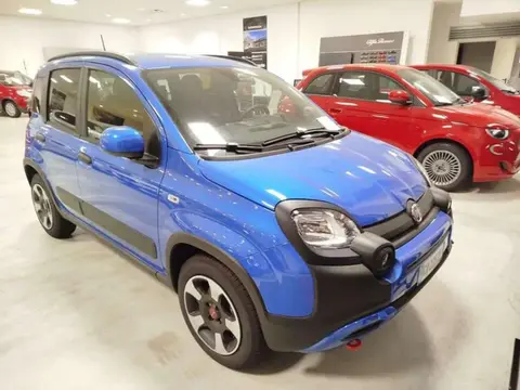 Used FIAT PANDA Hybrid 2024 Ad 