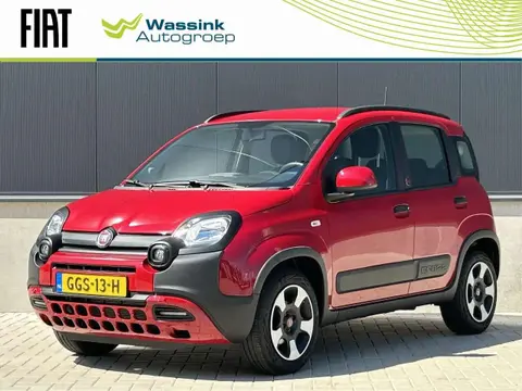 Used FIAT PANDA Hybrid 2022 Ad 