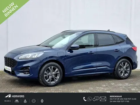 Annonce FORD KUGA Hybride 2021 d'occasion 