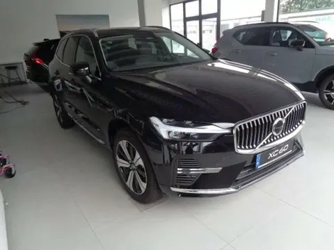 Annonce VOLVO XC60 Hybride 2024 d'occasion 