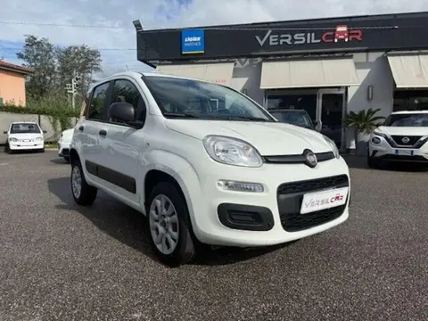 Annonce FIAT PANDA  2019 d'occasion 