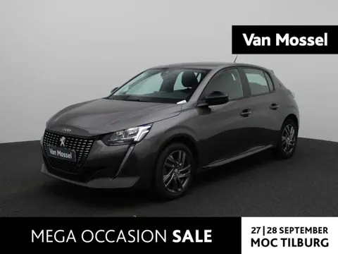 Used PEUGEOT 208 Petrol 2022 Ad 