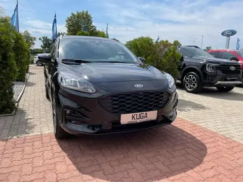 Annonce FORD KUGA Hybride 2023 d'occasion 